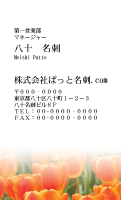 テンプレート名刺【plant-tulip photo-d008-zyz】