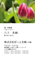 テンプレート名刺【plant-tulip photo-d010-yd】