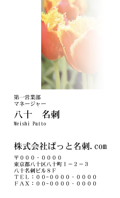 テンプレート名刺【plant-tulip photo-d016-yd】