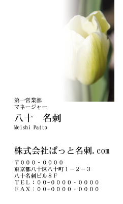 テンプレート名刺【plant-tulip photo-d017-yd】