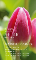 テンプレート名刺【plant-tulip photo-d020-yd】
