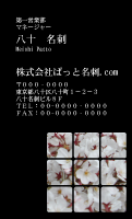 テンプレート名刺【plant- sakura photo-d002-zyz】