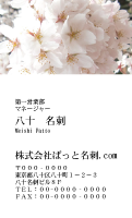 テンプレート名刺【plant- sakura photo-d011-yd】