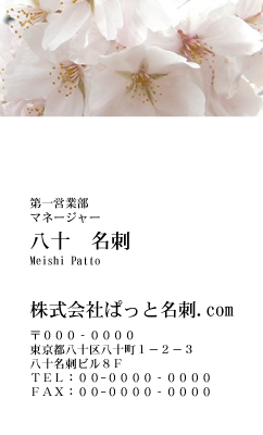 テンプレート名刺【plant- sakura photo-d012-yd】