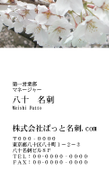 テンプレート名刺【plant- sakura photo-d013-yd】