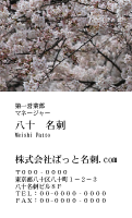 テンプレート名刺【plant- sakura photo-d014-yd】