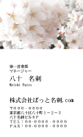 テンプレート名刺【plant- sakura photo-d016-yd】