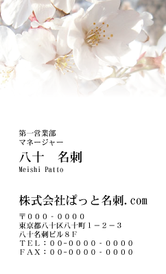 テンプレート名刺【plant- sakura photo-d017-yd】