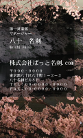 テンプレート名刺【plant- sakura photo-d020-yd】