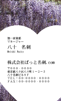 テンプレート名刺【plant-wistaria photo-d006-zyz】
