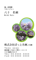 テンプレート名刺【plant-wistaria photo-d007-zyz】