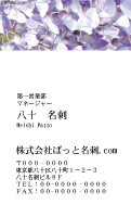テンプレート名刺【plant-wistaria photo-d011-lm】