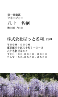 テンプレート名刺【plant-wistaria photo-d013-lm】