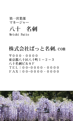 テンプレート名刺【plant-wistaria photo-d013-lm】