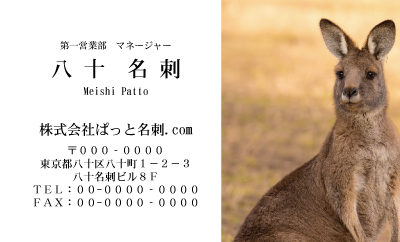 テンプレート名刺【animal photo-d101-zdk】