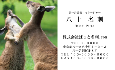 テンプレート名刺【animal photo-d102-zdk】