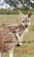 テンプレート名刺【animal photo-d103-zdk】