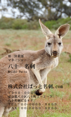 テンプレート名刺【animal photo-d103-zdk】