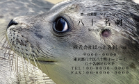 テンプレート名刺【animal photo-d105-zdk】