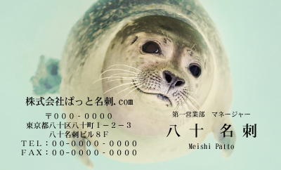 テンプレート名刺【animal photo-d106-zdk】