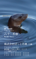 テンプレート名刺【animal photo-d108-zdk】