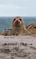 テンプレート名刺【animal photo-d111-zdk】