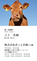 テンプレート名刺【animal photo-d124-zdk】