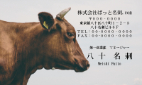 テンプレート名刺【animal photo-d126-zdk】
