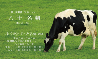 テンプレート名刺【animal photo-d130-zdk】