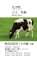 テンプレート名刺【animal photo-d130-zdk】