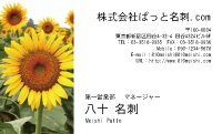 テンプレート名刺【plant-sunflower photo-d010-lm】