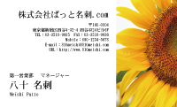 テンプレート名刺【plant-sunflower photo-d011-lm】