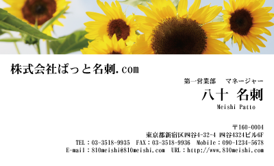 テンプレート名刺【plant-sunflower photo-d012-lm】