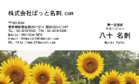 テンプレート名刺【plant-sunflower photo-d013-lm】