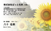 テンプレート名刺【plant-sunflower photo-d015-lm】