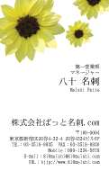 テンプレート名刺【plant-sunflower photo-d001-zyz】
