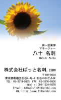 テンプレート名刺【plant-sunflower photo-d002-zyz】