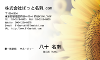 テンプレート名刺【plant-sunflower photo-d017-lm】