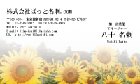 テンプレート名刺【plant-sunflower photo-d019-lm】