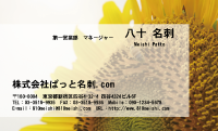 テンプレート名刺【plant-sunflower photo-d020-lm】
