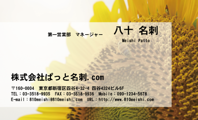 テンプレート名刺【plant-sunflower photo-d020-lm】