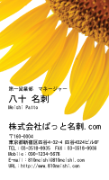 テンプレート名刺【plant-sunflower photo-d003-zyz】
