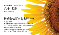 テンプレート名刺【plant-sunflower photo-d003-zyz】