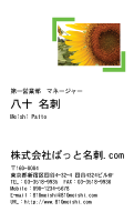 テンプレート名刺【plant-sunflower photo-d004-zyz】