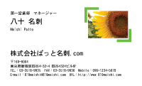 テンプレート名刺【plant-sunflower photo-d004-zyz】