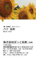 テンプレート名刺【plant-sunflower photo-d005-zyz】