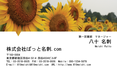 テンプレート名刺【plant-sunflower photo-d005-zyz】