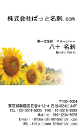 テンプレート名刺【plant-sunflower photo-d006-zyz】