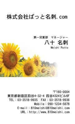 テンプレート名刺【plant-sunflower photo-d006-zyz】