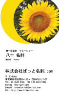 テンプレート名刺【plant-sunflower photo-d007-zyz】